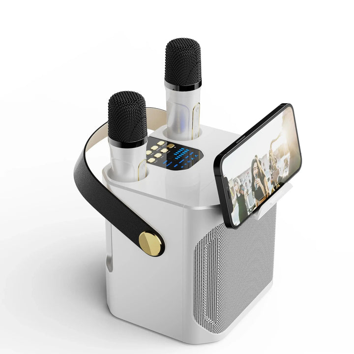 Kraftfuld bærbar karaoke-højttaler med Bluetooth - 360° surround
