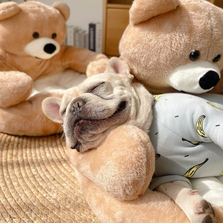 Justerbar krammebjørn – SnuggleBear