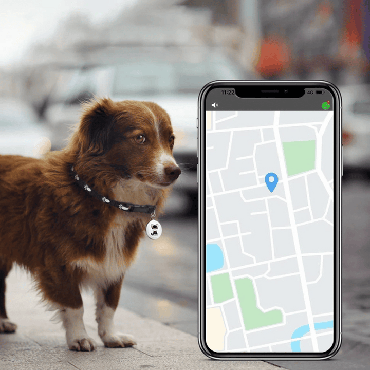 GPS-tracker til kæledyr – hunde og katte – Android og iOS
