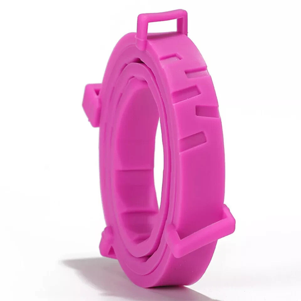 https://cdn.shopify.com/s/files/1/0575/0731/5784/files/s-l1600_1.jpg?v=1781090590