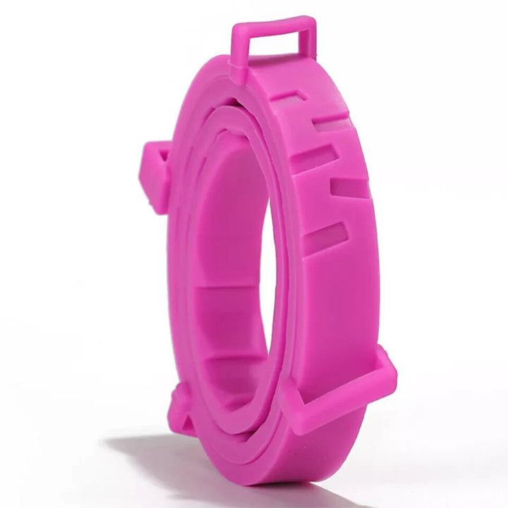 https://cdn.shopify.com/s/files/1/0575/0731/5784/files/s-l1600_1.jpg?v=1781090590