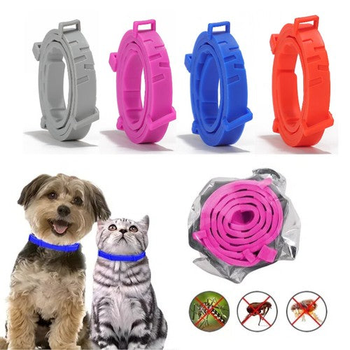 https://cdn.shopify.com/s/files/1/0575/0731/5784/files/s-l500.jpg?v=1781090590