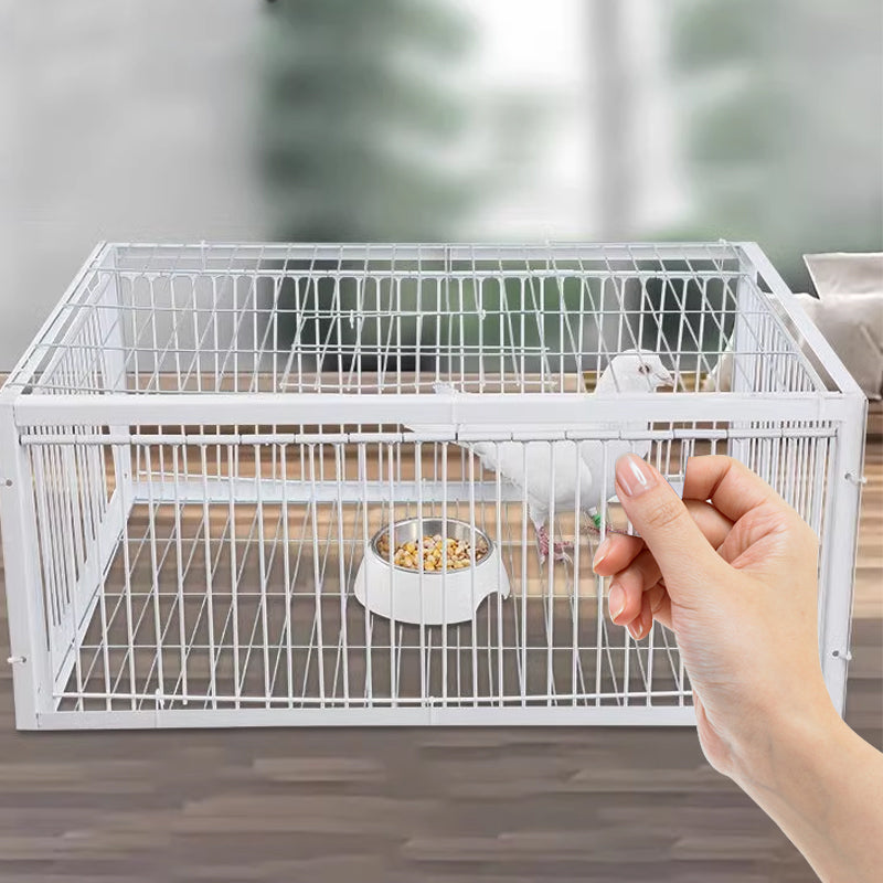 Skånsom fuglefælde med anti-retur-mekanisme – BirdSafe-fælde