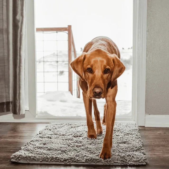 Superabsorberende hundemåtte – PawMat