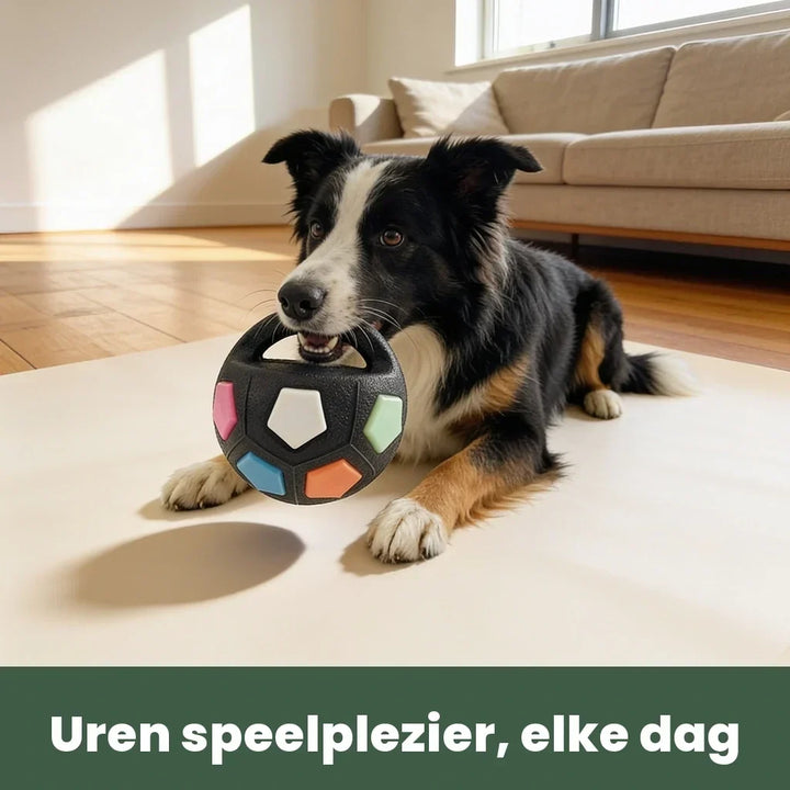 Uødelæggelig hundebold til kraftige tyggere