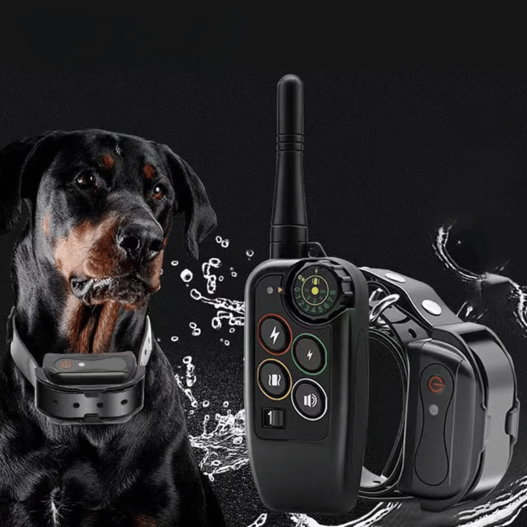 Elektronisk halsbånd til hundetræning, vandtæt med lang rækkevidde på 1000 m & fjernbetjening