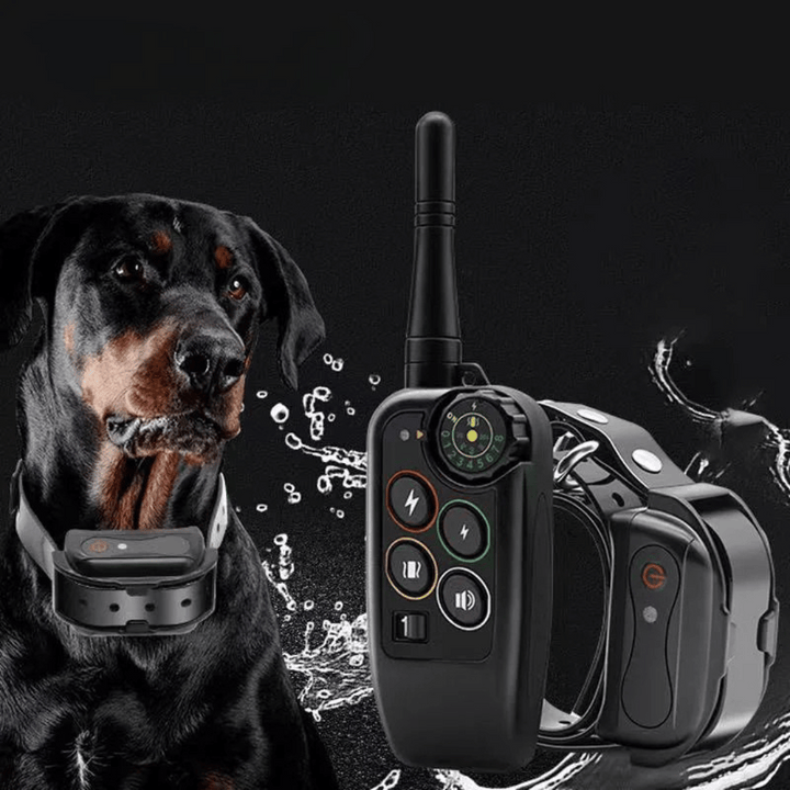 Elektronisk halsbånd til hundetræning, vandtæt med lang rækkevidde på 1000 m & fjernbetjening